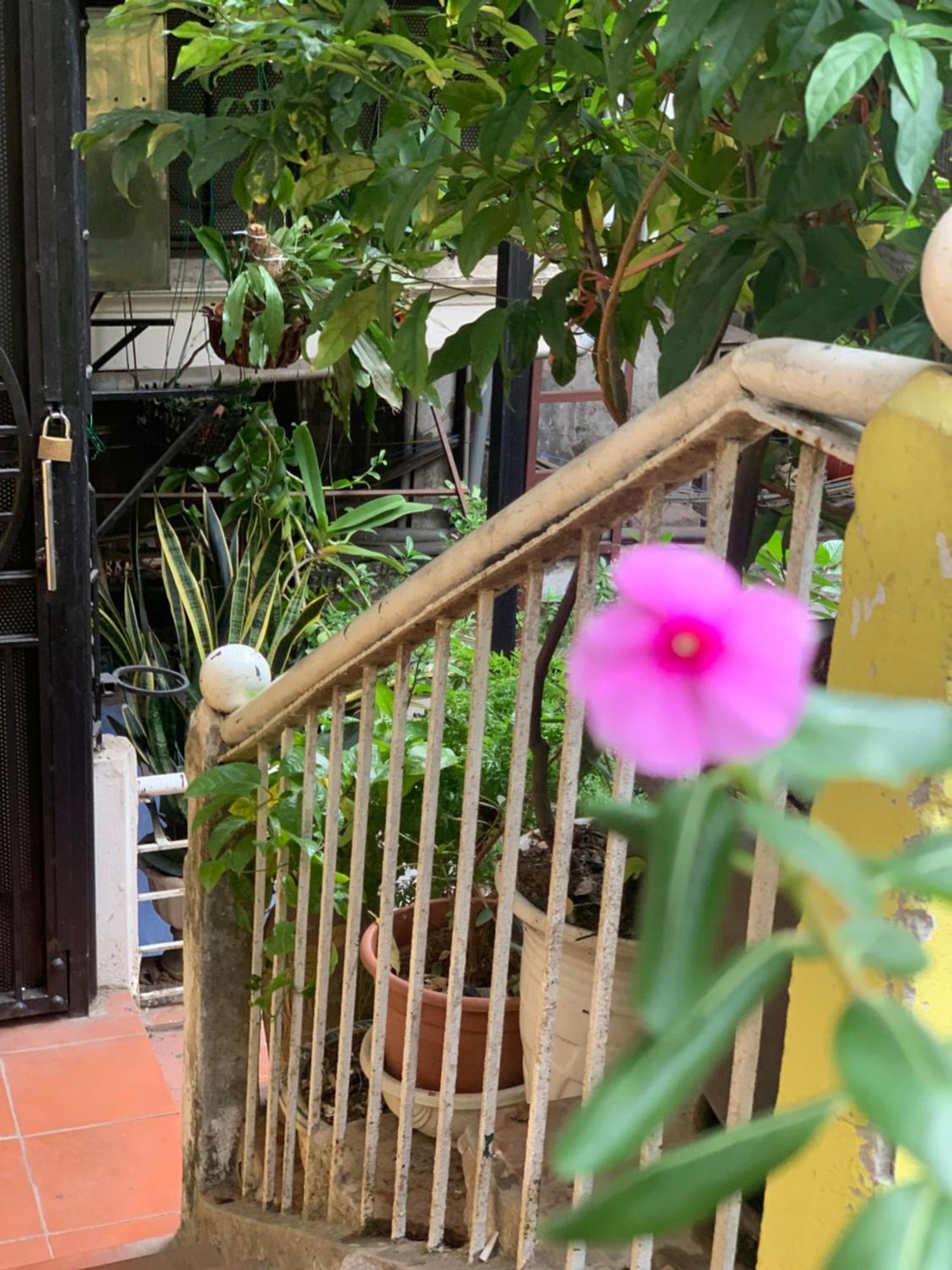 Charmcham House Apartment Hanoi Exterior photo