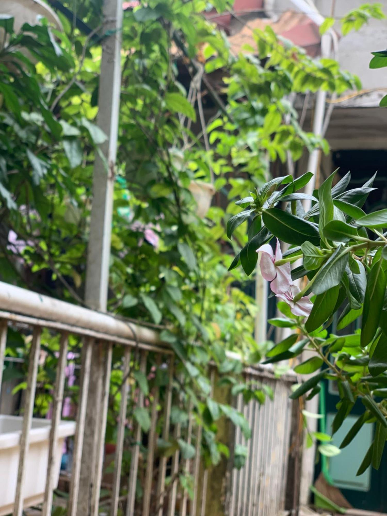 Charmcham House Apartment Hanoi Exterior photo