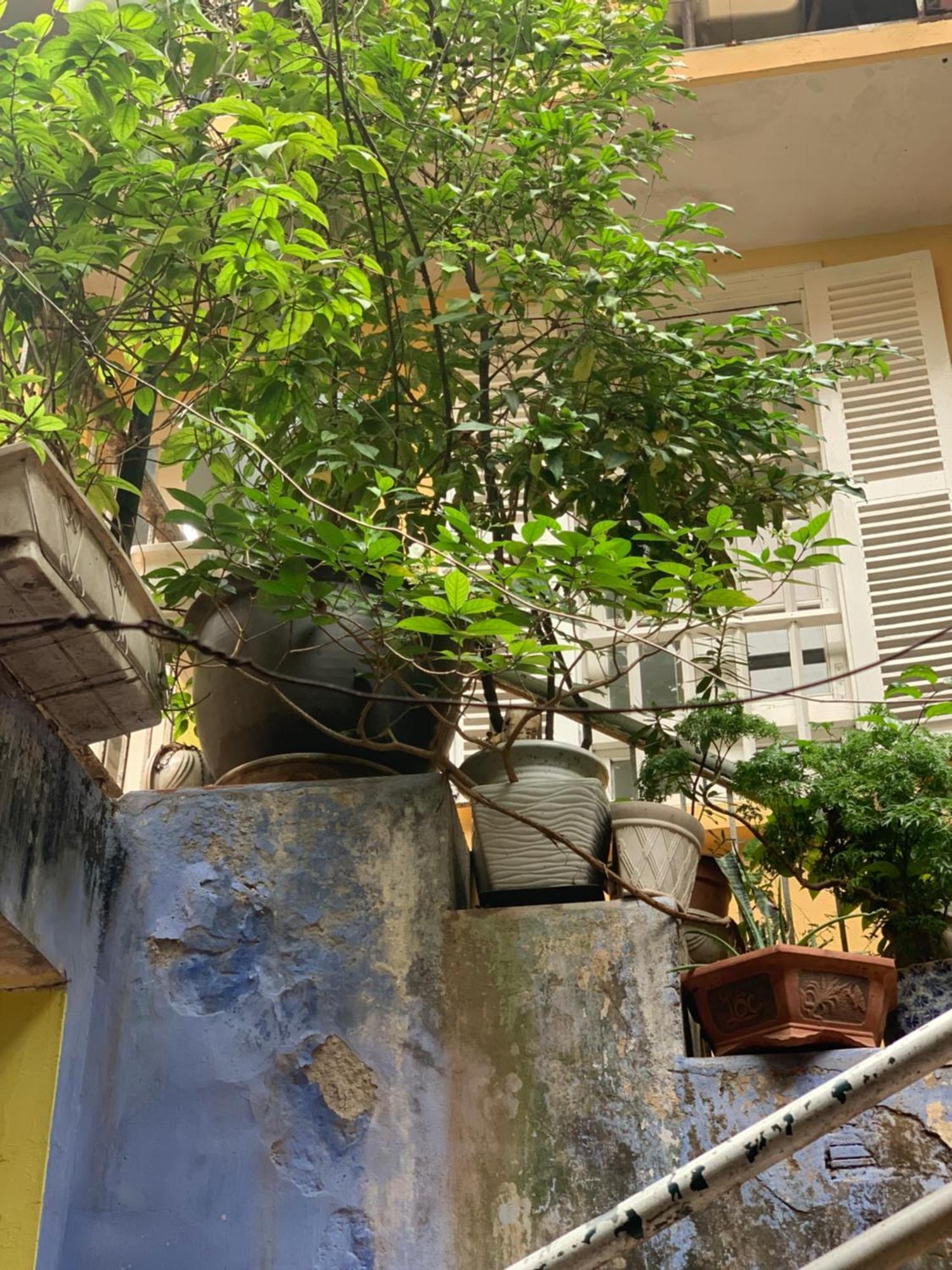 Charmcham House Apartment Hanoi Exterior photo