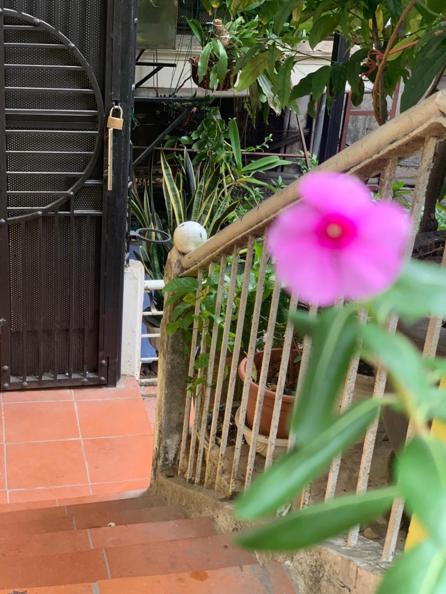 Charmcham House Apartment Hanoi Exterior photo