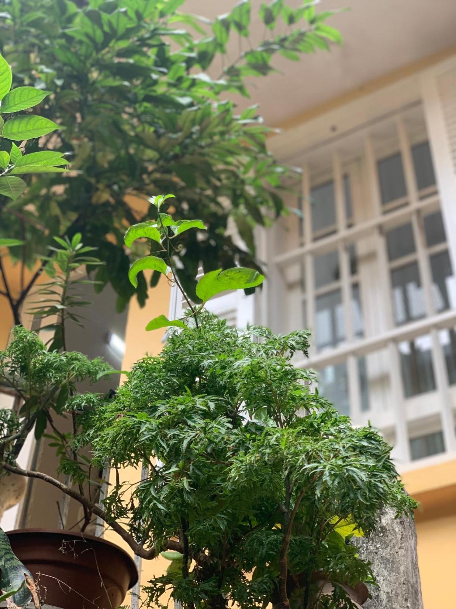 Charmcham House Apartment Hanoi Exterior photo